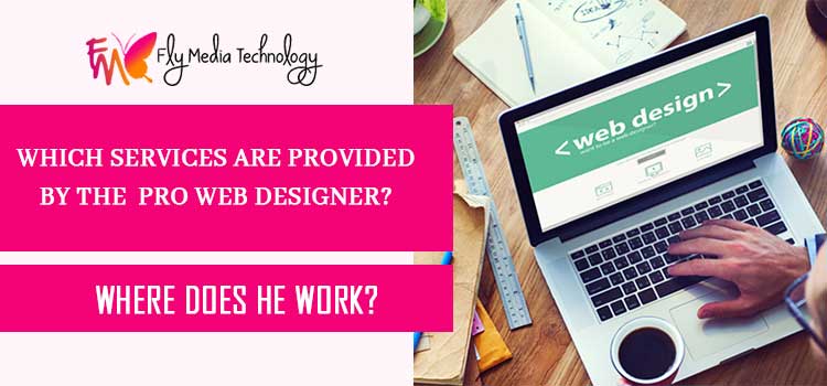Which-services-are-provided-by-the-Pro-web-designer--Where-does-he-work-flymedia-jpgh