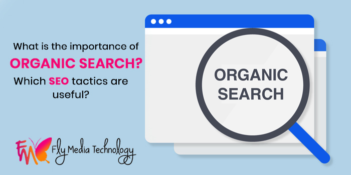 What is the importance of organic search Which SEO tactics are useful